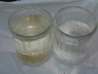 Образцы озерной воды до и после очистки фильтром Nerox